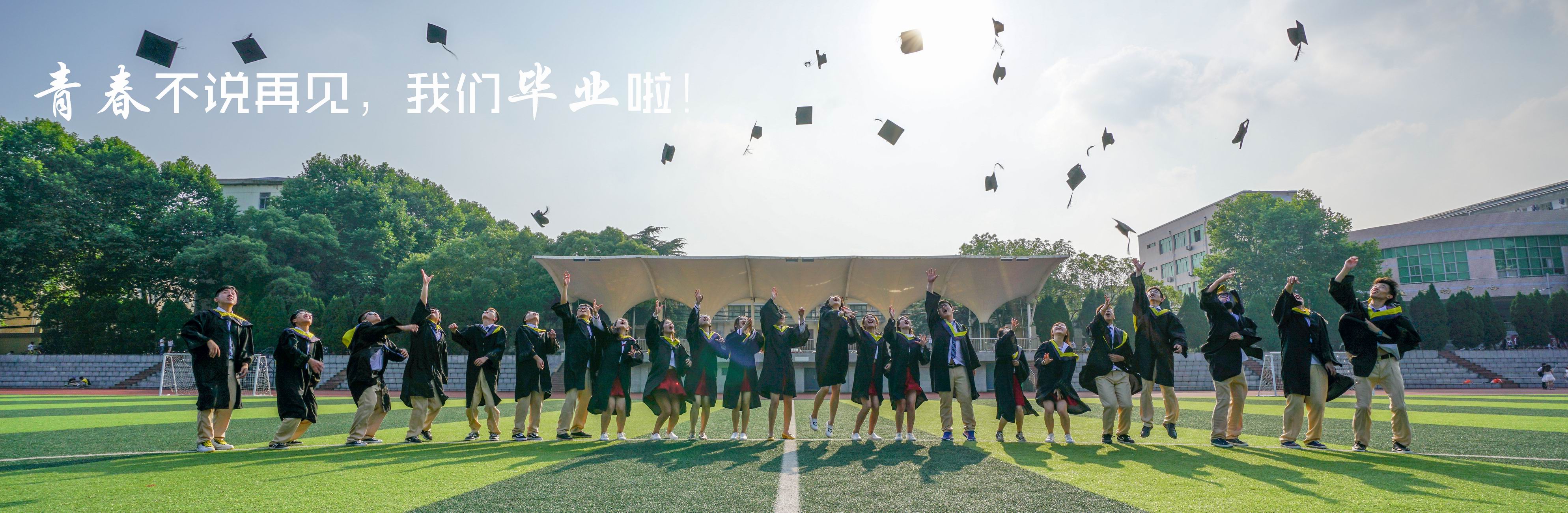 开云体育官网